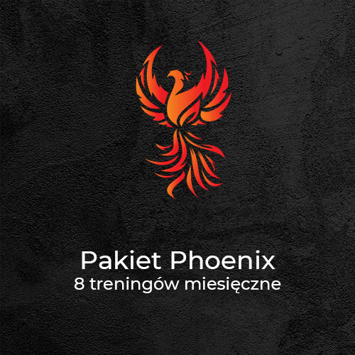 Pakiet Phoenix<br>8 treningów/miesiąc - Phoenix Workout - Kalistenika Gliwice